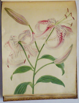 RECUEIL D'AQUARELLES, DESSINS ORIGINAUX ET GRAVURES.. LIBER AMICORUM).