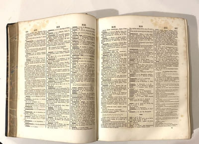 Dictionnaire provençal-français, ou dictionnaire de la langue d'Oc, ancienne et moderne, suivi d'un vocabulaire français-provençal.