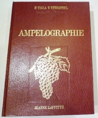 Ampélographie.