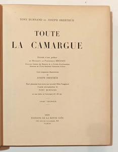 Toute la Camargue.