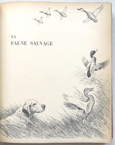 Toute la Camargue.