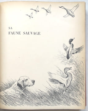 Toute la Camargue.. BURNAND ET OBERTHUR, (Tony et Joseph).