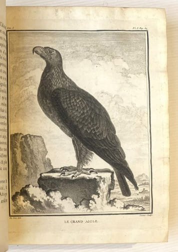 Histoire naturelle, générale et particulière, avec la description du Cabinet du Roi. Quadrupèdes et Oiseaux.