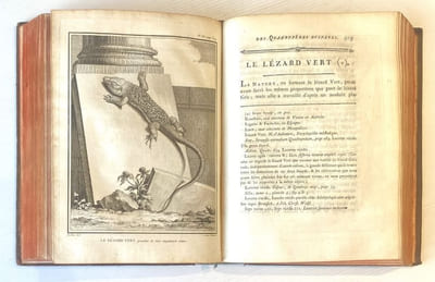 Histoire naturelle, générale et particulière, avec la description du Cabinet du Roi. Quadrupèdes et Oiseaux.