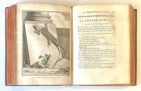 Histoire naturelle, générale et particulière, avec la description du Cabinet du Roi. Quadrupèdes et Oiseaux.. BUFFON (Georges Louis Leclerc de)