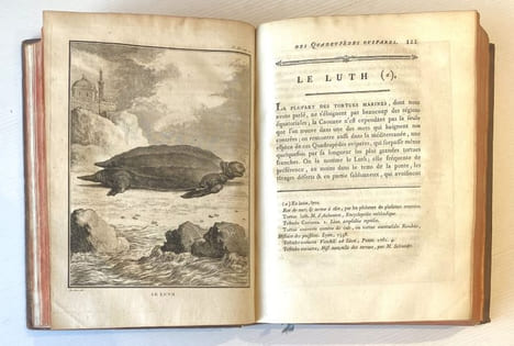 Histoire naturelle, générale et particulière, avec la description du Cabinet du Roi. Quadrupèdes et Oiseaux.. BUFFON (Georges Louis Leclerc de)