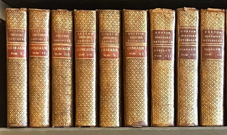 Histoire naturelle, générale et particulière, avec la description du Cabinet du Roi. Quadrupèdes et Oiseaux.. BUFFON (Georges Louis Leclerc de)