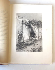 L'Abbé Constantin illustré par Madame Madeleine Lemaire