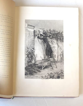 L'Abbé Constantin illustré par Madame Madeleine Lemaire. HALEVY (Ludovic)