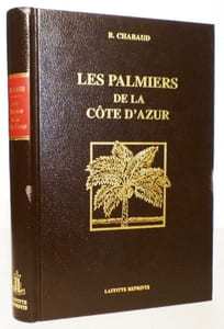 Les palmiers de la Côte d'Azur.