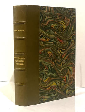 DICTIONNAIRE TOPOGRAPHIQUE, STATISTIQUE ET HISTORIQUE du diocèse de Nimes.. GOIFFON (Abbé).
