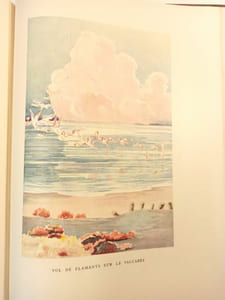 Camargue. Préface de Ch. Delanglade.