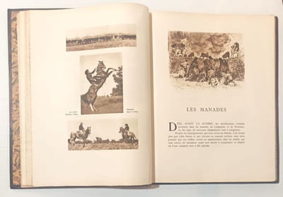 Le calendrier de la Camargue. Illustrations de Paul Cuchet.