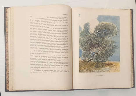 Le calendrier de la Camargue. Illustrations de Paul Cuchet.. GAYMARD (Frédéric).
