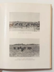 La Camargue gardiane. Préface et poèmes provençaux du Marquis de Baroncelli-Javon. Relié à la suite : Gloires camarguaises -