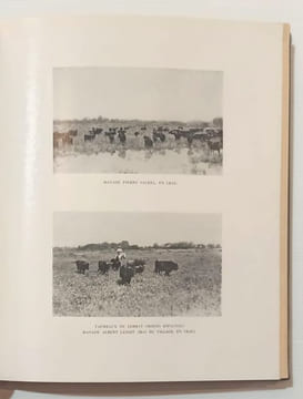 La Camargue gardiane. Préface et poèmes provençaux du Marquis de Baroncelli-Javon. Relié à la suite : Gloires camarguaises -. ELLY (Elie Rul, dit Jean ...