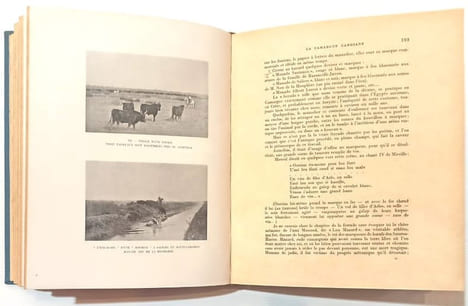 La Camargue gardiane. Préface et poèmes provençaux du Marquis de Baroncelli-Javon. Relié à la suite : Gloires camarguaises -. ELLY (Elie Rul, dit Jean ...