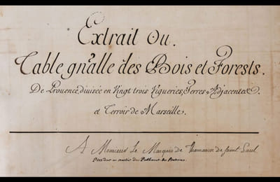 Extrait ou Table générale des bois et forests  de Provence divisée en 23 vigueries. Terres adjacentes et terroir de Marseille.
