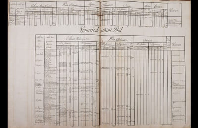 Extrait ou Table générale des bois et forests  de Provence divisée en 23 vigueries. Terres adjacentes et terroir de Marseille.