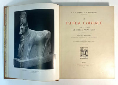 Le taureau camargue, son élevage, la course provençale.