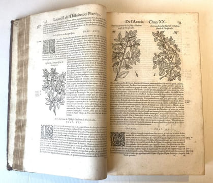 Histoire générale des Plantes contenant VIII livres également departis en deux tomes : Sortie latine de la Bibliothèque de Me Jacques Dalechamps puis ...