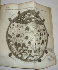 Recherches sur la nature du feu de l'enfer.et du lieu où il est situé. Traduit de l'anglois par M. Bion.