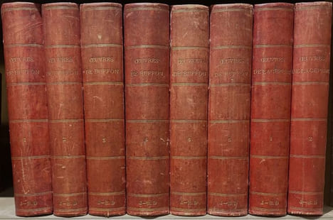 OEuvres complètes. Avec des extraits dr Daubenton et la classification de Cuvier. Histoire naturelle comprenant les cétacés, les quadrupèdes ovipares, ...