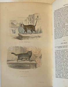 OEuvres complètes. Avec des extraits dr Daubenton et la classification de Cuvier. Histoire naturelle comprenant les cétacés, les quadrupèdes ovipares, les serpents et les poissons. Précédée de l'éloge de Lacépède par Cuvier. Avec des notes et la nouvelle classification par M. A.-G. Desmarest.