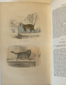 OEuvres complètes. Avec des extraits dr Daubenton et la classification de Cuvier. Histoire naturelle comprenant les cétacés, les quadrupèdes ovipares, ...