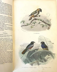 OEuvres complètes. Avec des extraits dr Daubenton et la classification de Cuvier. Histoire naturelle comprenant les cétacés, les quadrupèdes ovipares, les serpents et les poissons. Précédée de l'éloge de Lacépède par Cuvier. Avec des notes et la nouvelle classification par M. A.-G. Desmarest.