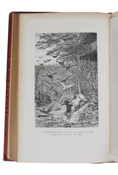Contes Danois. + Nouveau Contes Danois. Traduits pour la premiere fois par MM. Ernest Grégoire & Louis Moland. Illustrés d'apres les dessins de M. ...
