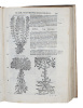 Commentarii secundo aucti in Libros sex Pedacii Dioscoridis Anazarbei de Medica Materia. Adiectis quamplurimis plantarum, & animalium imaginibus, quæ ...