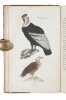 Afbildninger af Dyr og Planter efter Dictionnaire des Sciences naturelles.. SCHOUW, J.F. og  D.F. ESCHRICHT.