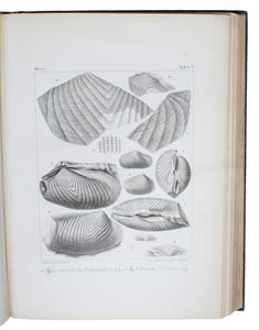 Études critiques sur les Mollusques fossiles (contenant les Trigonies et les Myes du Jura et de la Craie Suisses). (4 Parts).