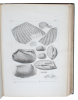 Études critiques sur les Mollusques fossiles (contenant les Trigonies et les Myes du Jura et de la Craie Suisses). (4 Parts).. AGASSIZ, (JEAN LOUIS ...