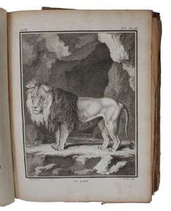 Histoire naturelle , generale et particuliere, avec la description du cabinet du Roi. Tome Neuvième.