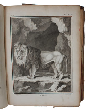 Histoire naturelle , generale et particuliere, avec la description du cabinet du Roi. Tome Neuvième.. "BUFFON, (G.L.L. DE).
