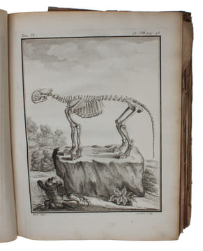 Histoire naturelle , generale et particuliere, avec la description du cabinet du Roi. Tome Neuvième.. "BUFFON, (G.L.L. DE).