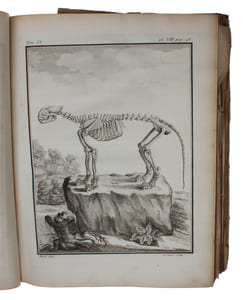 Histoire naturelle , generale et particuliere, avec la description du cabinet du Roi. Tome Neuvième.