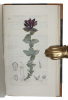 Svensk Botanik. Vol. 1-10. - [THE FIRST COLOURED SWEDISH FLORA]. PALMSTRUCH, JOHAN WILHELM (ed.).
