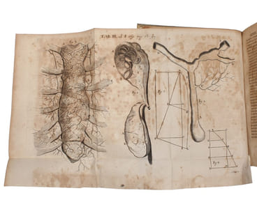 1. De Linea in quam Flexile se pondere proprio curvat, ejeuque usu insignia adinveniendi quotcunque medias proportionales & Logarithmos. - 2. De Solutionibus Problematis Catenarii vel Funicularis in Actis A. 1691, aliisque a Dn. I.B. propositis. (1-2:...