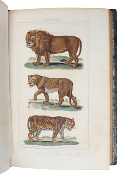 Oeuvres complétes de Buffon mises en Ordre et précédées d'une notice historiques par M.A. Richard suivies de deux Volumes sur les Progrès des Sciences ...