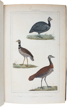 Oeuvres complétes de Buffon mises en Ordre et précédées d'une notice historiques par M.A. Richard suivies de deux Volumes sur les Progrès des Sciences ...