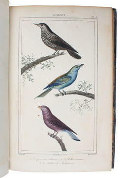 Oeuvres complétes de Buffon mises en Ordre et précédées d'une notice historiques par M.A. Richard suivies de deux Volumes sur les Progrès des Sciences ...