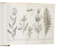 Flora Lapponica exhibens Plantas per Lapponiam Crescentes, secundam Systema Sexuale Collectas in Itinere... Additis Synonymis, & Locis Natalibus ...