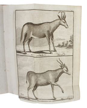 Resa till Goda Hopps - Udden, Södra Pol-kretsen och omkring Jordklotet, samt till Hottentott- och Caffer-landen, Åren 1772-76. Första Delen.. ...