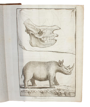Resa till Goda Hopps - Udden, Södra Pol-kretsen och omkring Jordklotet, samt till Hottentott- och Caffer-landen, Åren 1772-76. Första Delen.. ...