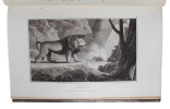Zoography or the Beauties of Nature Displayed. In select Descriptions from the Animal, and vegetable, with Additions from the Mineral Kingdom. ...