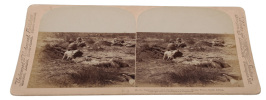 South African War through the Stereoscope. Vol. I-II.. STEROSCOPE CARDS - 