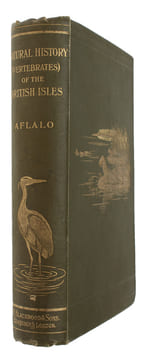 A Sketch of the Natural History (Vertebrates) of the British Islands. With Illustrations.. AFLALO, F.G.